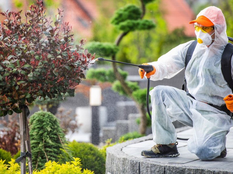 Ereğli Haşere İlaçlama